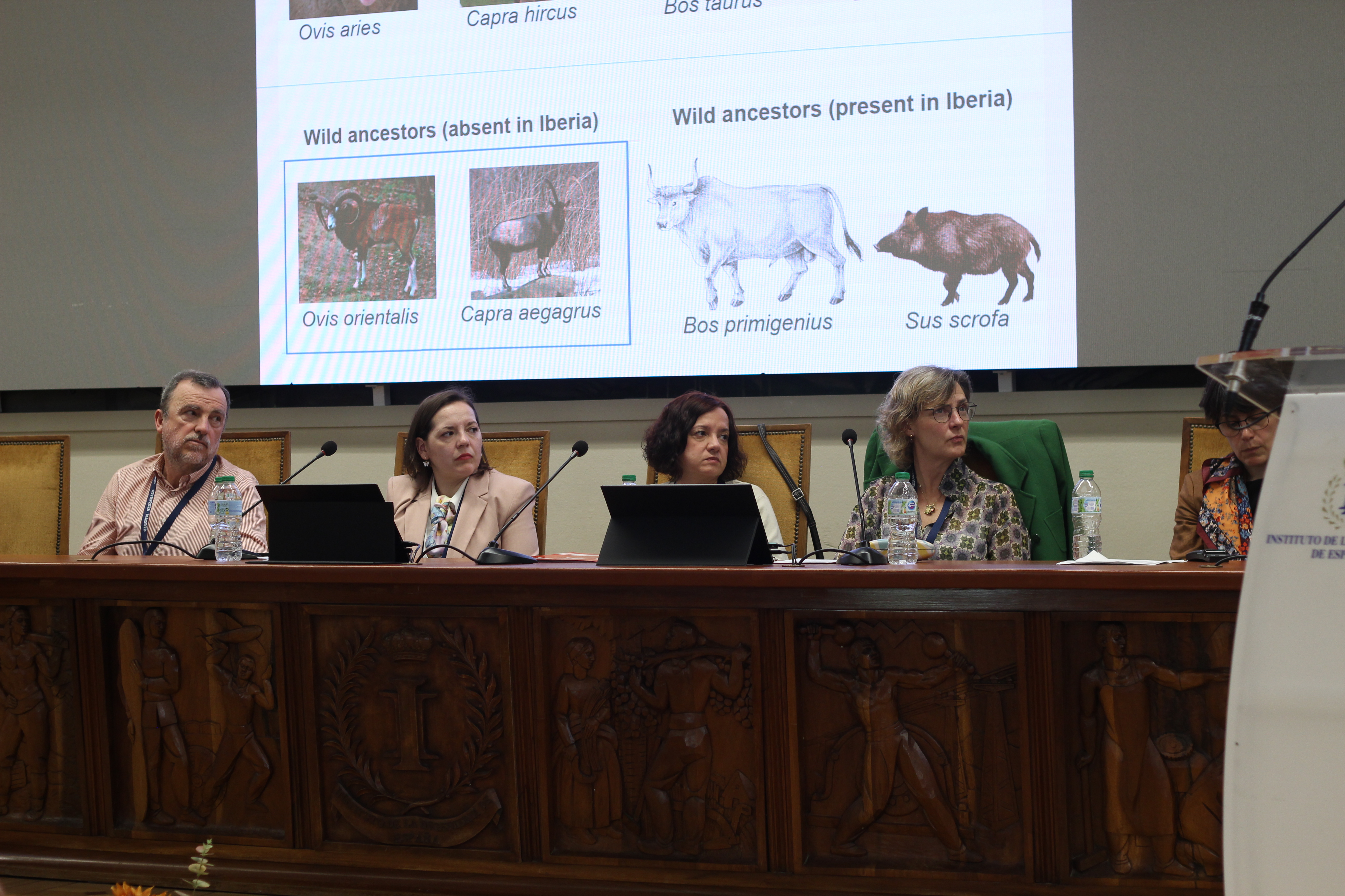 Event Gallery - IYRP 2026